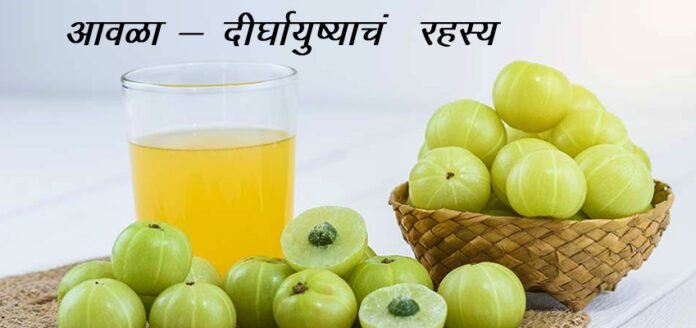 Health Benefits of Amla or Indian Gooseberry